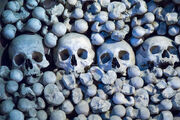 Endofhumanhistory
