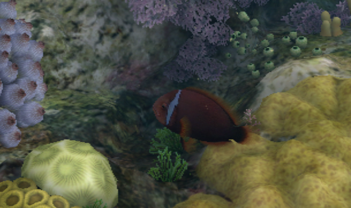 tomato clownfish endless ocean