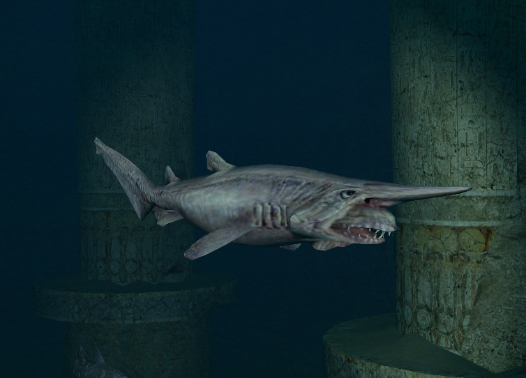 endless ocean wiki shark