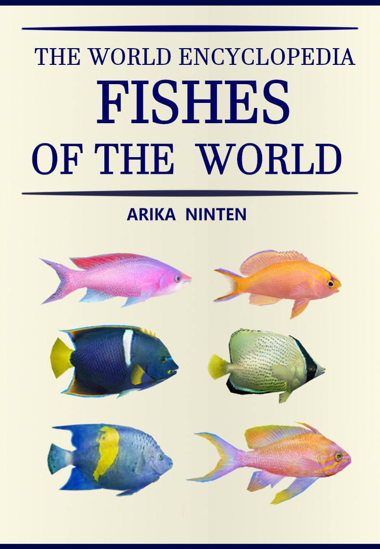 endless ocean blue world coins