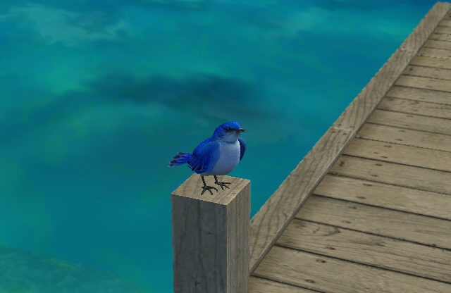 Blue Blue
