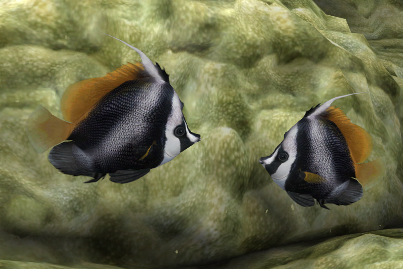 Singular Bannerfish Endless Ocean Wiki Fandom