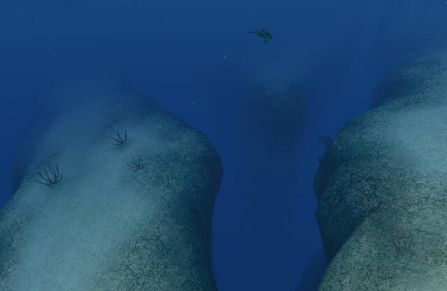 Twin Crevasses