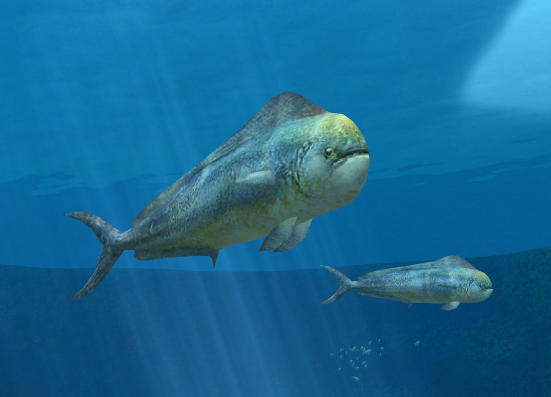 MahiMahi Endless Ocean Wiki Fandom