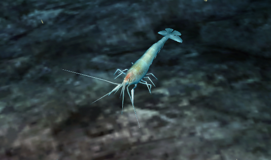 blue planet deep sea shrimp