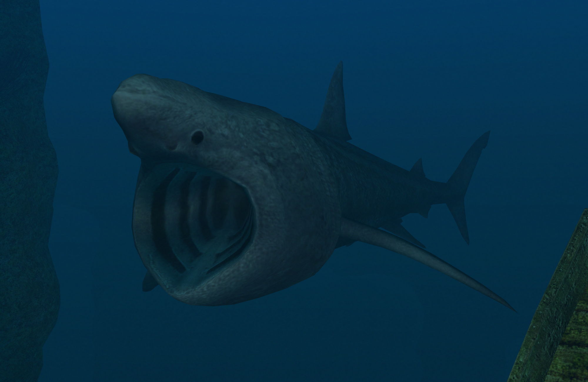 deep blue shark current location deep blue shark current location