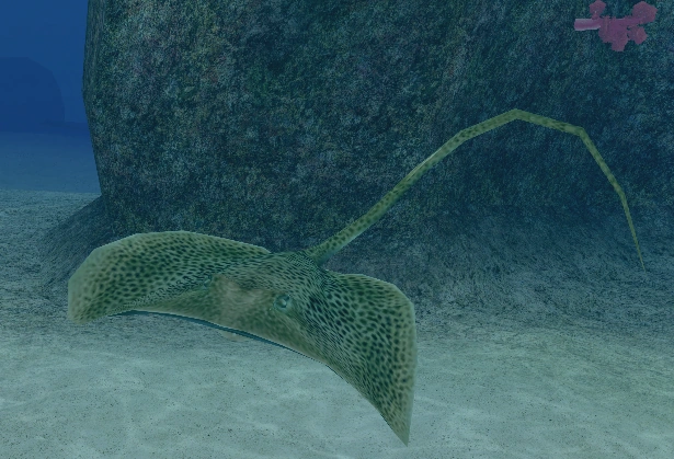 Leopard Whipray | Endless Ocean Wiki | Fandom