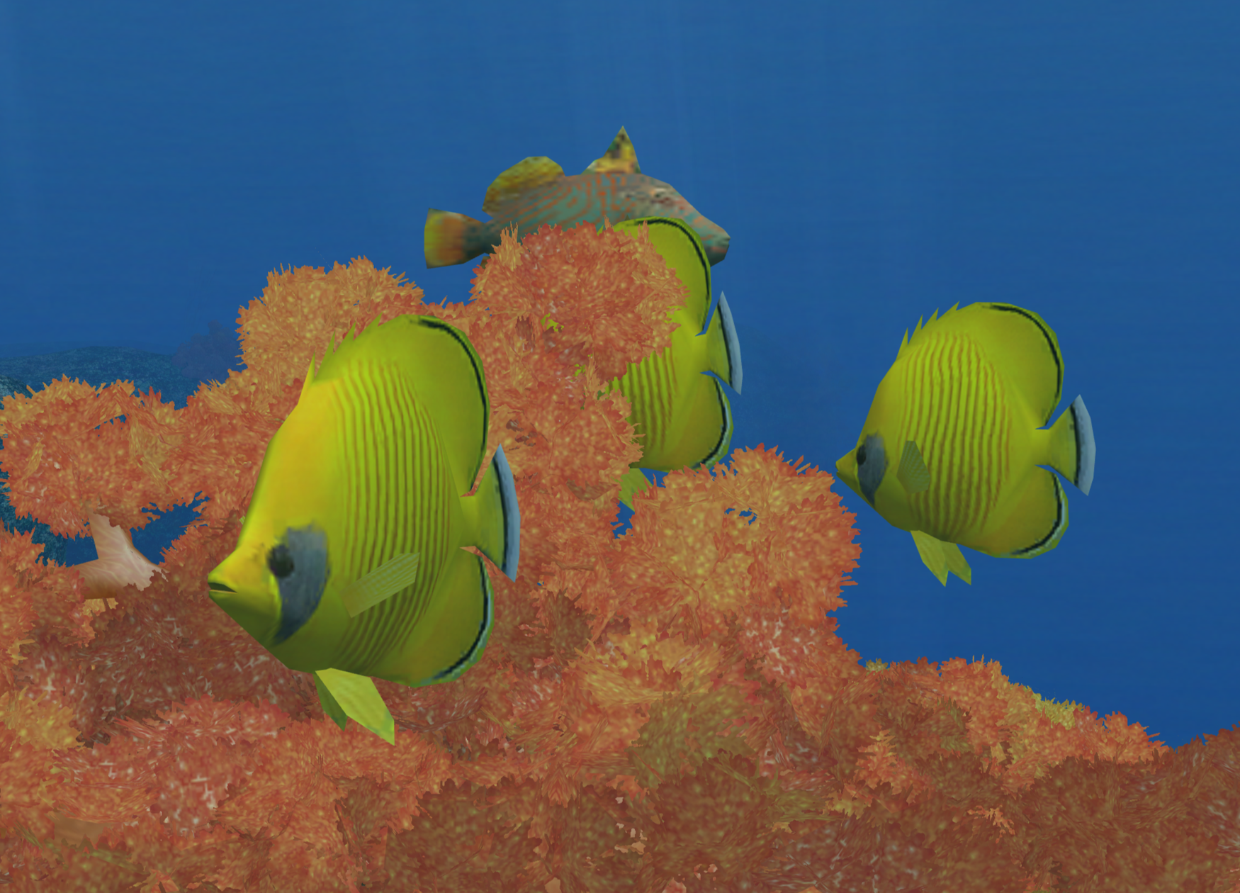 endless ocean wiki oceana endless ocean wiki oceana