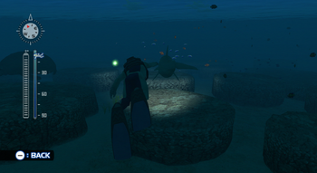 Partner Diving Example