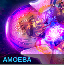 Amoeba