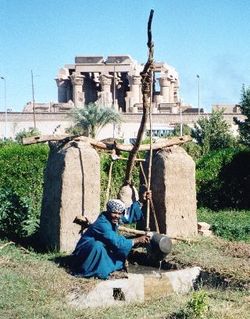 250px-Egypt.KomOmbo.Shaduf.01