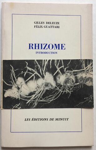 File:Rhizome.jpg