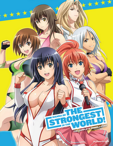 Image - Wanna Be the Strongest in the World! 2015 DVD Cover.PNG