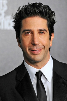 David Schwimmer | English Voice Over Wikia | Fandom