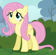 Fluttershy En Kicsi Ponim Wiki Fandom