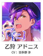 Adonis autograph