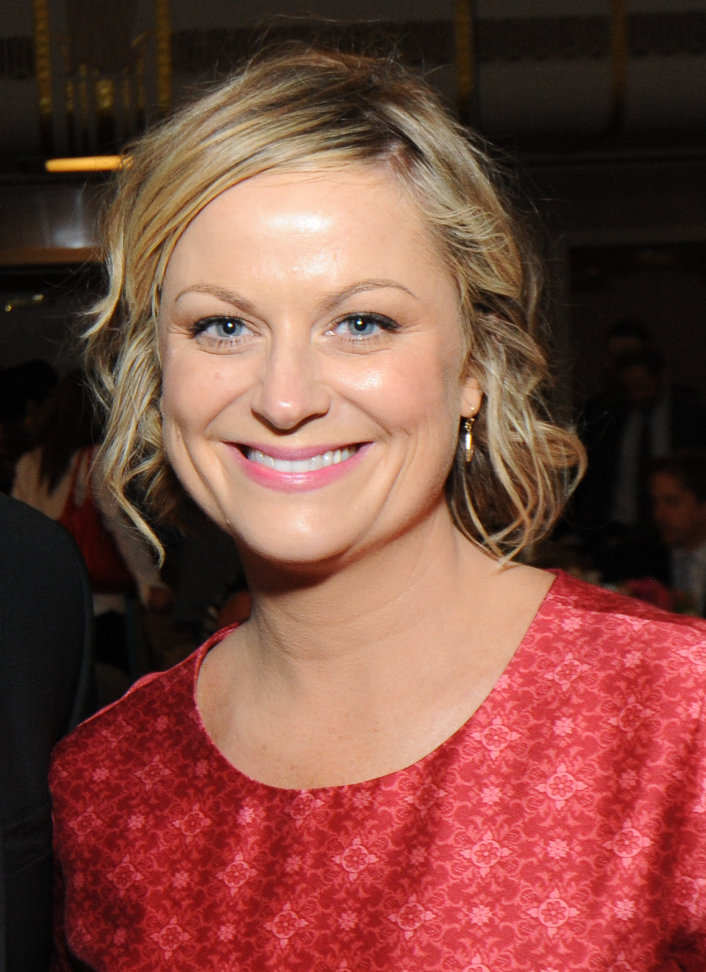 Amy Poehler | Television Wiki | Fandom