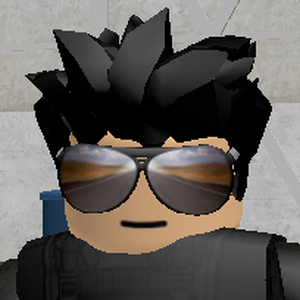 Customization Entry Point Wiki Fandom