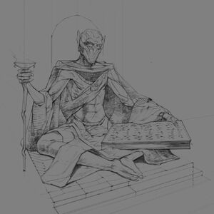 Elves