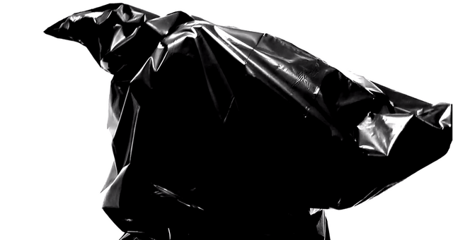 File:Bag Thing.png