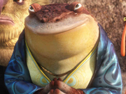 Bufo1