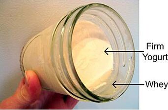 Yogurt