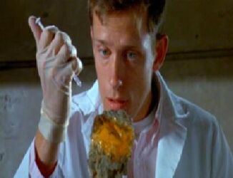 Extracting the DNA