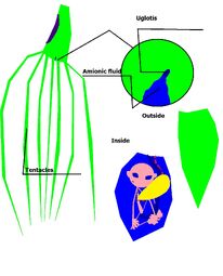 Alien gential
