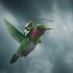 Hummingbirds | Epic Wiki | FANDOM powered by Wikia