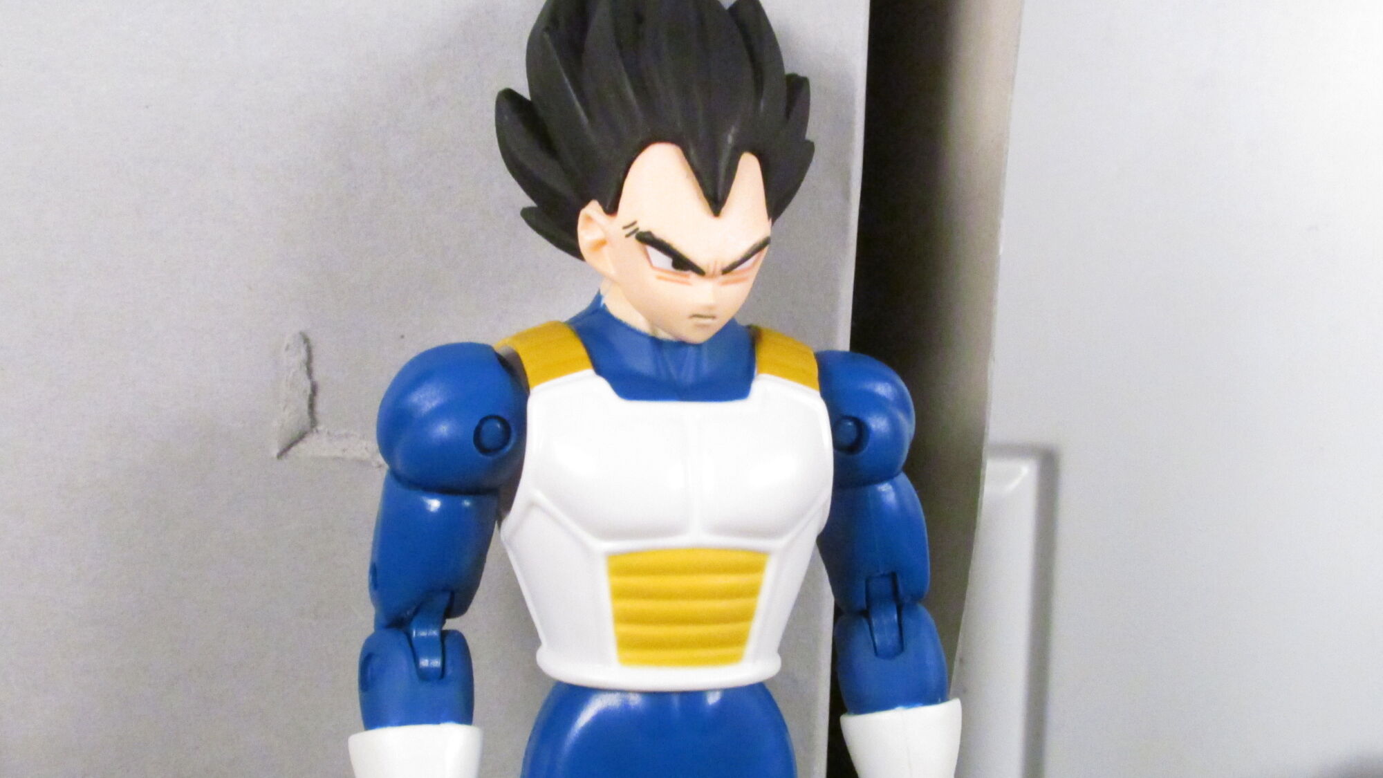 vegeta earth