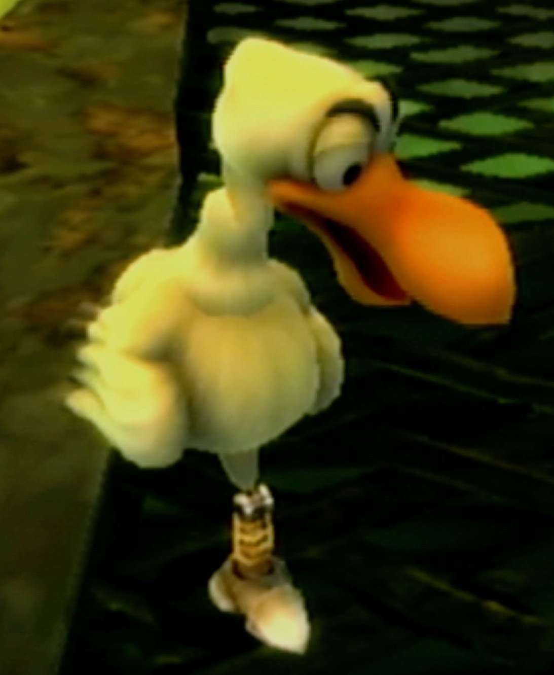 Birds