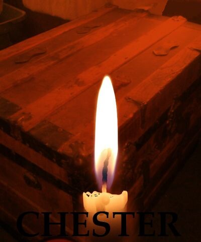 Story Cover Chester