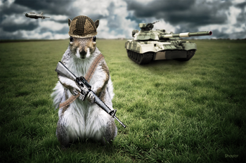 Justin sQUIRREIEDO