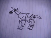 Pony 001