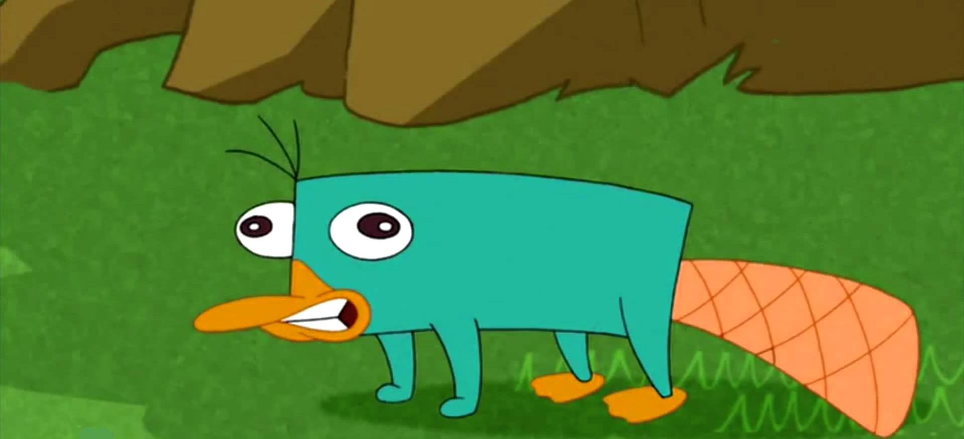 platypus walk sideways