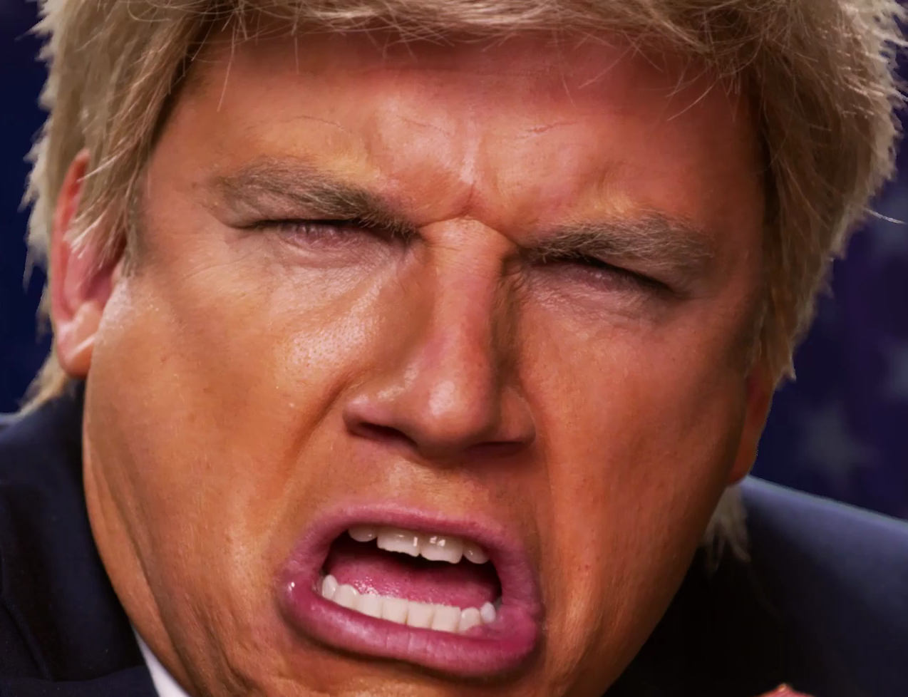 Image - Donald Trump - 'Put Charles in charge' face.png ...