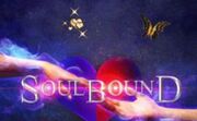 Soulbound-cover