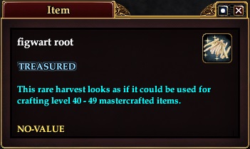 Figwart root