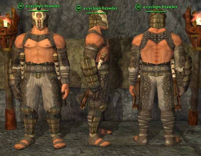 Cyclops (Bruiser) EverQuest 2 Wiki FANDOM powered by Wikia