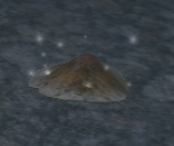 A mushroom cap