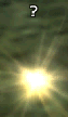 Yellow shiny