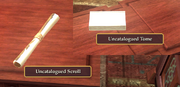 Uncatalogued Items