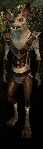 Race gnoll
