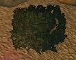 Hiding bush