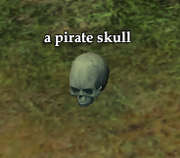 A pirate skull
