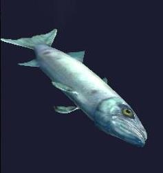 a smelly dead barracuda | EverQuest 2 Wiki | FANDOM powered by Wikia