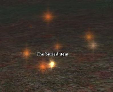 The buried item