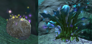 Daar Geode and Shrub