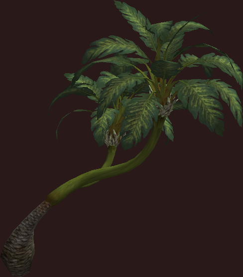 leaning palm tree everquest 2 wiki fandom powered by wikia