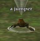 A jumper (Visible)
